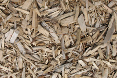biomass boilers Cambusbarron